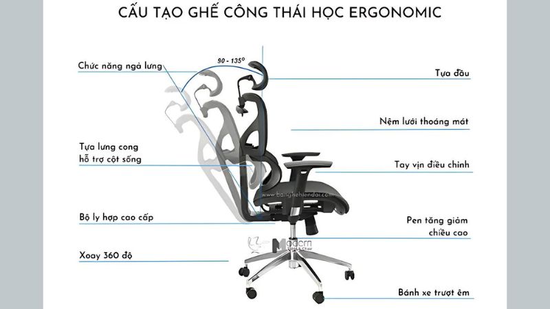 cấu tạo ghế công thái học